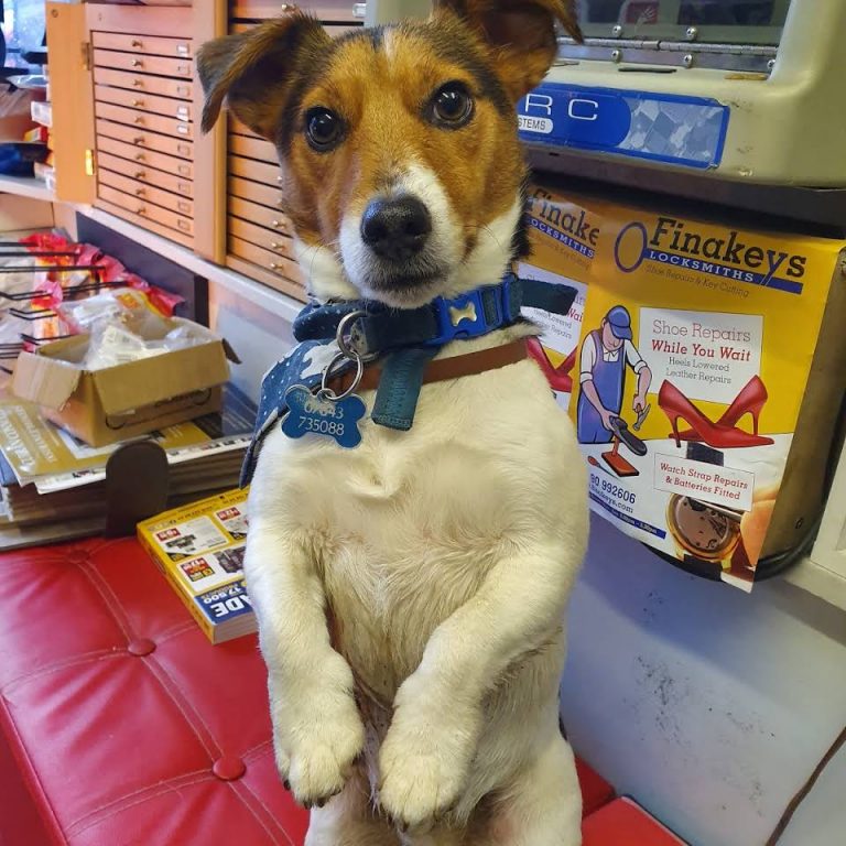 finakeys locksmiths belfast 768x768